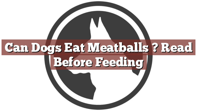 Can Dogs Eat Meatballs ? Read Before Feeding