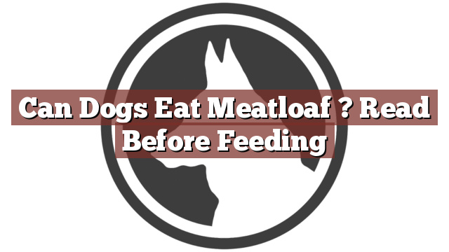 Can Dogs Eat Meatloaf ? Read Before Feeding