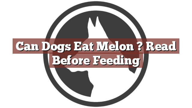 Can Dogs Eat Melon ? Read Before Feeding