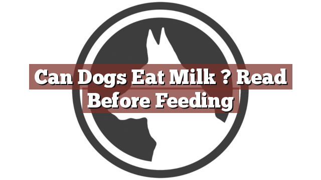 Can Dogs Eat Milk ? Read Before Feeding