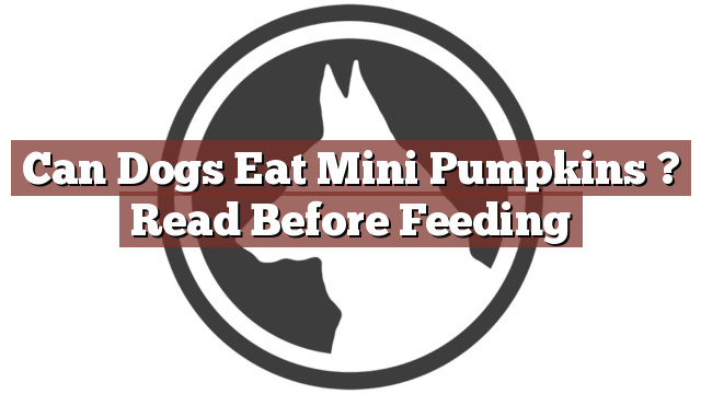 Can Dogs Eat Mini Pumpkins ? Read Before Feeding