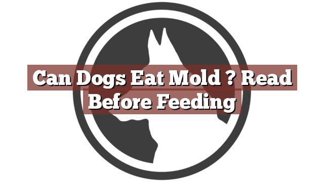 Can Dogs Eat Mold ? Read Before Feeding