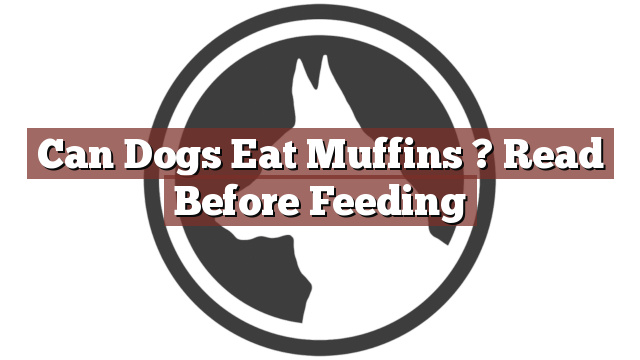 Can Dogs Eat Muffins ? Read Before Feeding