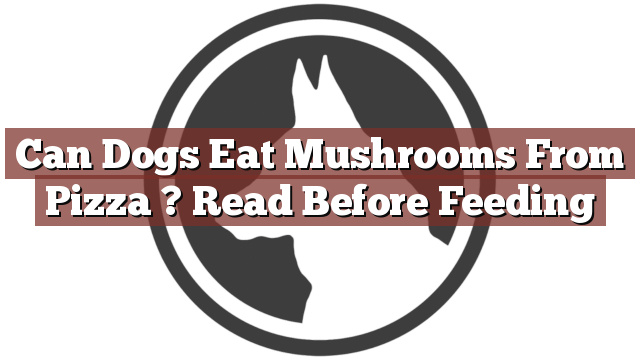 Can Dogs Eat Mushrooms From Pizza ? Read Before Feeding