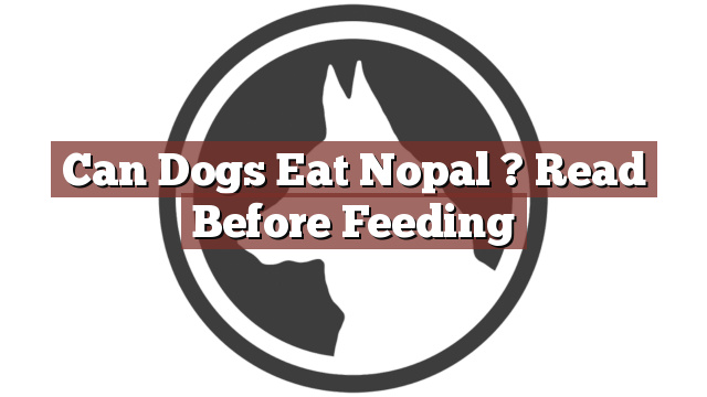 Can Dogs Eat Nopal ? Read Before Feeding