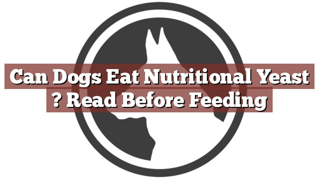 Can Dogs Eat Nutritional Yeast ? Read Before Feeding
