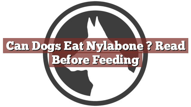 Can Dogs Eat Nylabone ? Read Before Feeding