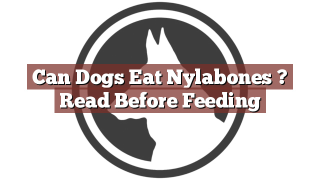 Can Dogs Eat Nylabones ? Read Before Feeding