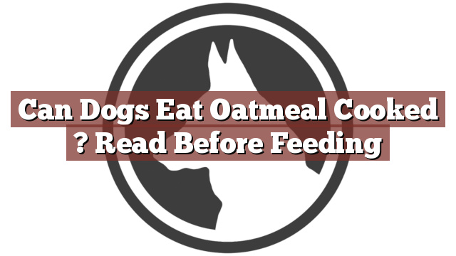 Can Dogs Eat Oatmeal Cooked ? Read Before Feeding