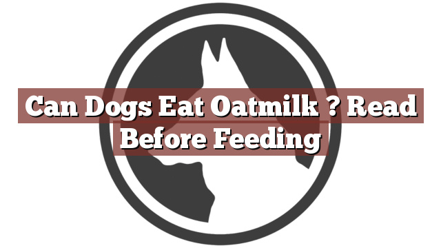 Can Dogs Eat Oatmilk ? Read Before Feeding