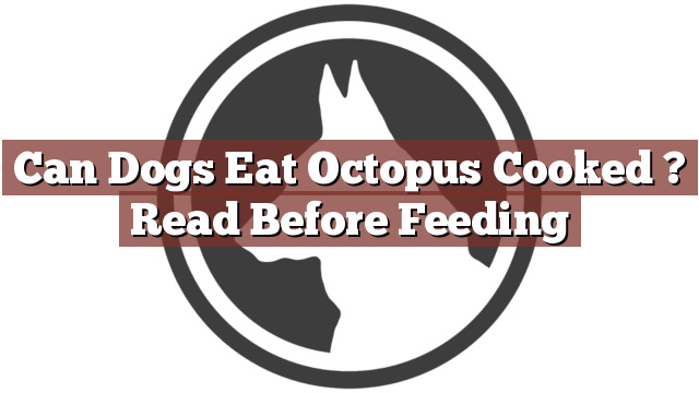 Can Dogs Eat Octopus Cooked ? Read Before Feeding