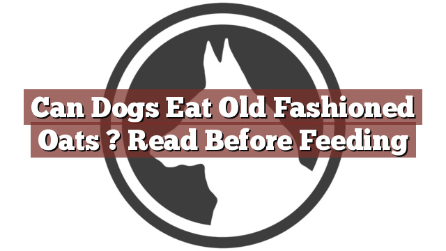 Can Dogs Eat Old Fashioned Oats ? Read Before Feeding