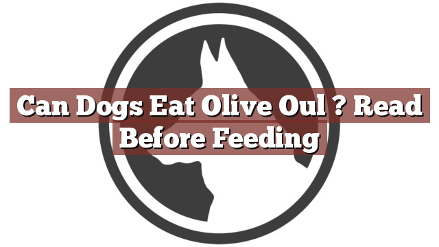 Can Dogs Eat Olive Oul ? Read Before Feeding