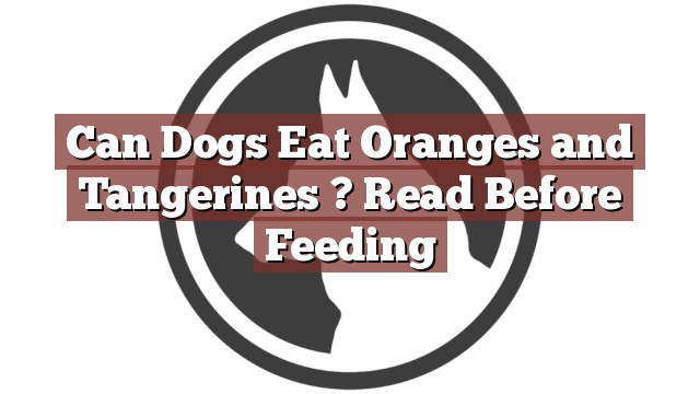 Can Dogs Eat Oranges and Tangerines ? Read Before Feeding