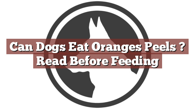 Can Dogs Eat Oranges Peels ? Read Before Feeding