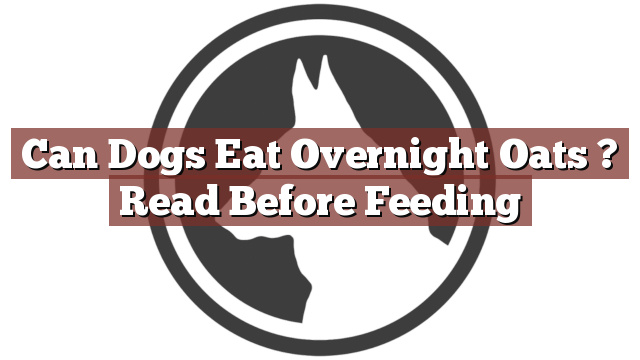 Can Dogs Eat Overnight Oats ? Read Before Feeding