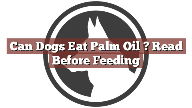 Can Dogs Eat Palm Oil ? Read Before Feeding