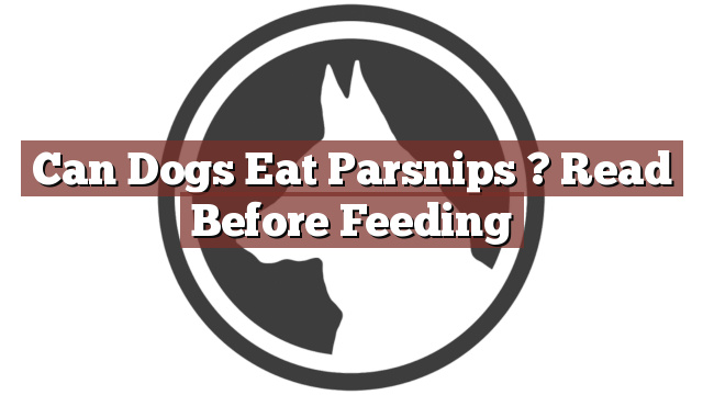 Can Dogs Eat Parsnips ? Read Before Feeding