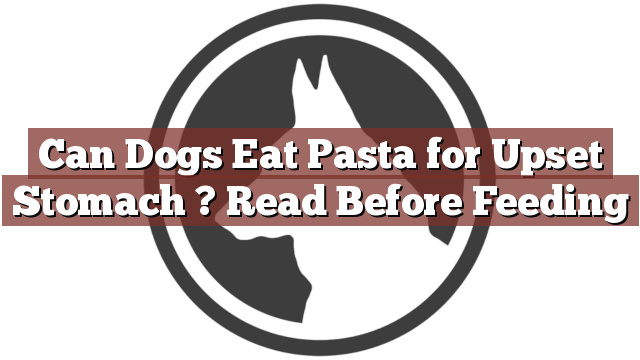 Can Dogs Eat Pasta for Upset Stomach ? Read Before Feeding