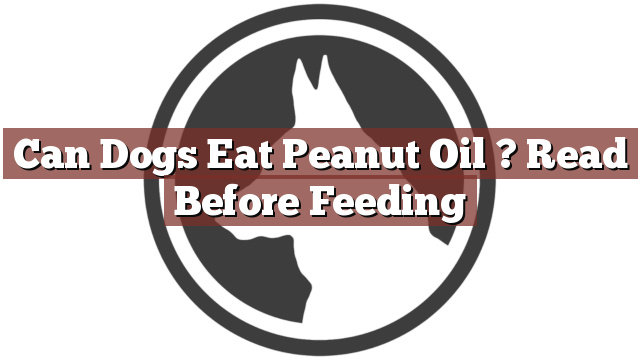Can Dogs Eat Peanut Oil ? Read Before Feeding