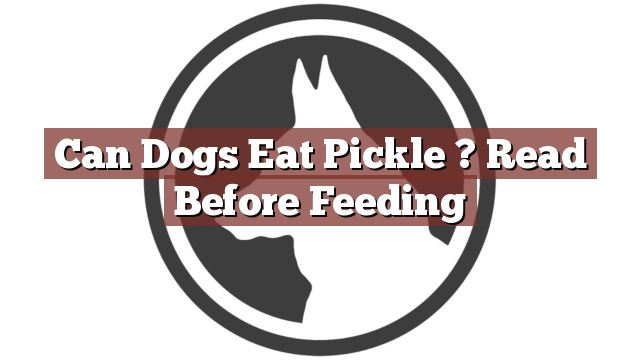 Can Dogs Eat Pickle ? Read Before Feeding