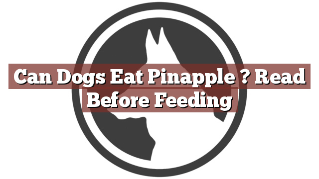 Can Dogs Eat Pinapple ? Read Before Feeding