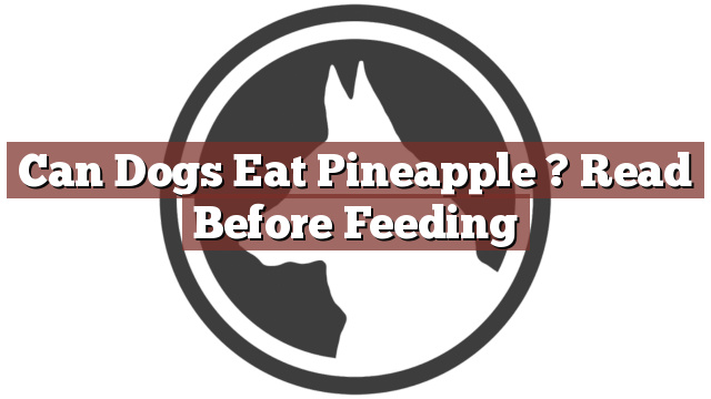 Can Dogs Eat Pineapple ? Read Before Feeding