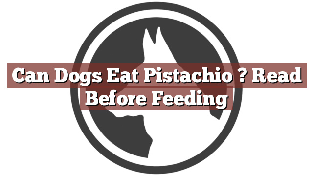 Can Dogs Eat Pistachio ? Read Before Feeding