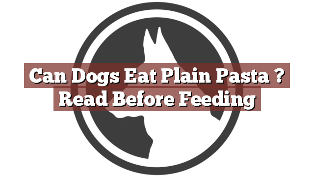 Can Dogs Eat Plain Pasta ? Read Before Feeding