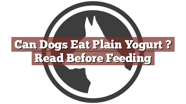 Can Dogs Eat Plain Yogurt ? Read Before Feeding