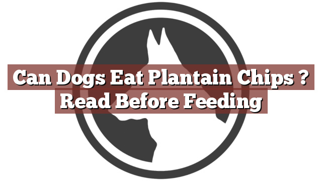 Can Dogs Eat Plantain Chips ? Read Before Feeding