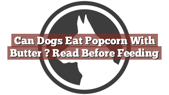 Can Dogs Eat Popcorn With Butter ? Read Before Feeding