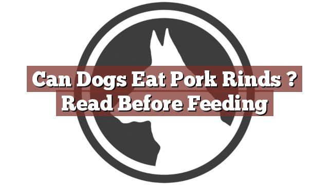 Can Dogs Eat Pork Rinds ? Read Before Feeding