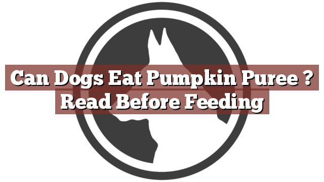 Can Dogs Eat Pumpkin Puree ? Read Before Feeding