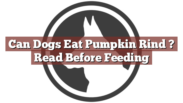 Can Dogs Eat Pumpkin Rind ? Read Before Feeding