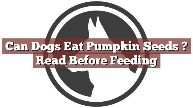 Can Dogs Eat Pumpkin Seeds ? Read Before Feeding