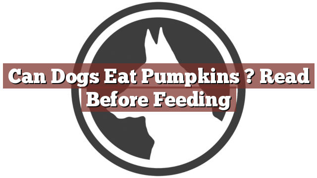 Can Dogs Eat Pumpkins ? Read Before Feeding