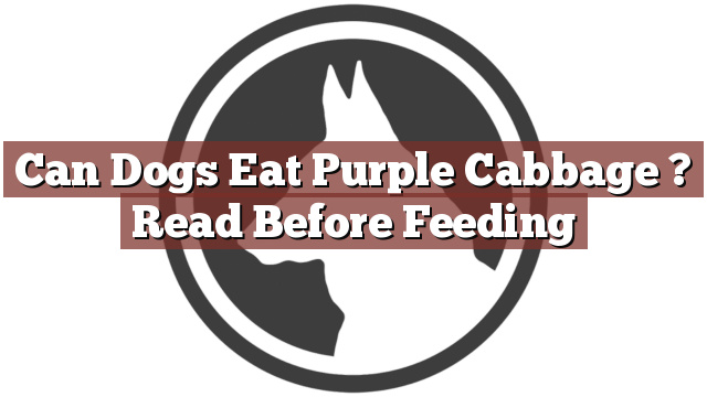 Can Dogs Eat Purple Cabbage ? Read Before Feeding