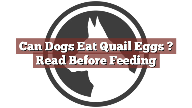 Can Dogs Eat Quail Eggs ? Read Before Feeding