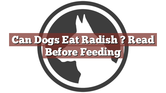 Can Dogs Eat Radish ? Read Before Feeding
