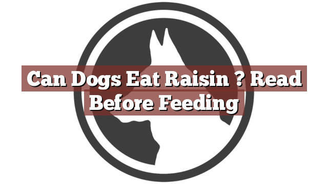 Can Dogs Eat Raisin ? Read Before Feeding