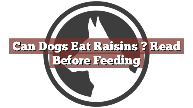 Can Dogs Eat Raisins ? Read Before Feeding