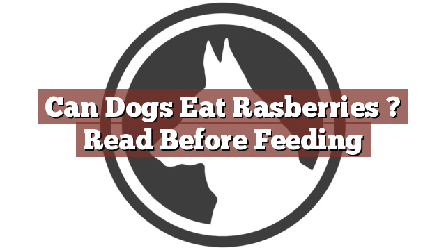 Can Dogs Eat Rasberries ? Read Before Feeding