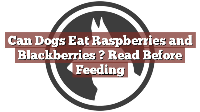 Can Dogs Eat Raspberries and Blackberries ? Read Before Feeding