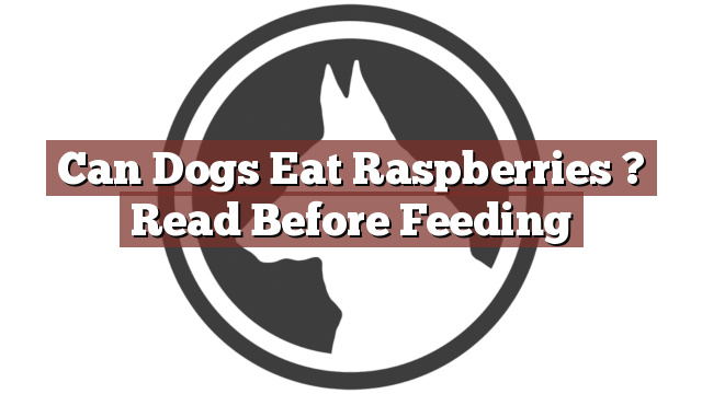 Can Dogs Eat Raspberries ? Read Before Feeding