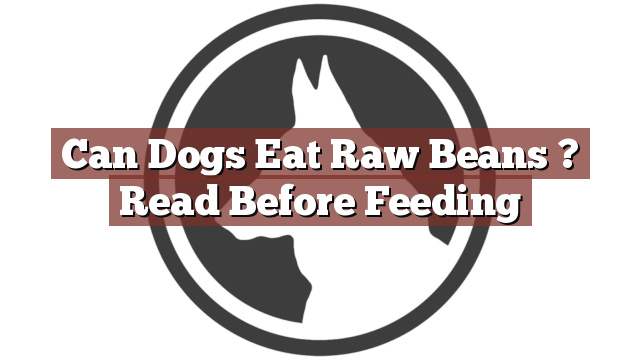 Can Dogs Eat Raw Beans ? Read Before Feeding