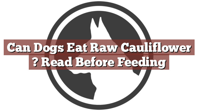 Can Dogs Eat Raw Cauliflower ? Read Before Feeding