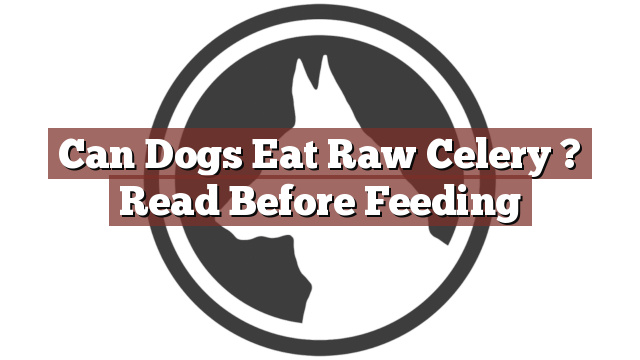 Can Dogs Eat Raw Celery ? Read Before Feeding