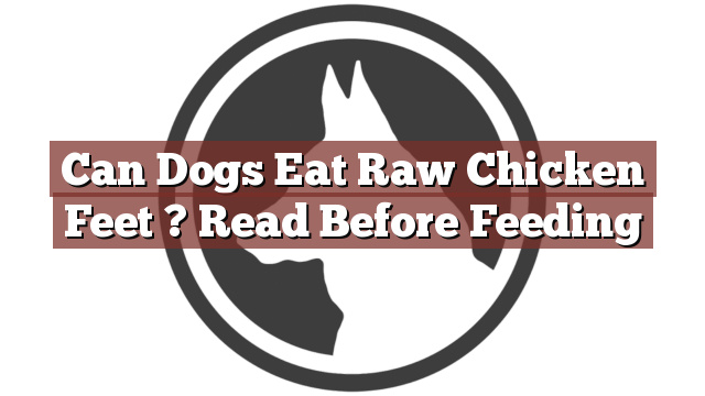 Can Dogs Eat Raw Chicken Feet ? Read Before Feeding