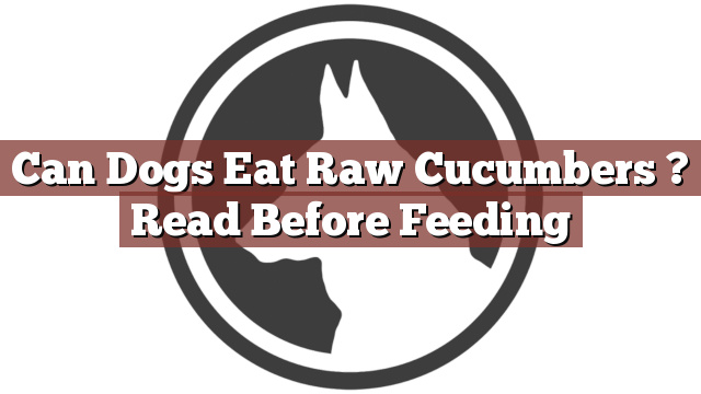 Can Dogs Eat Raw Cucumbers ? Read Before Feeding